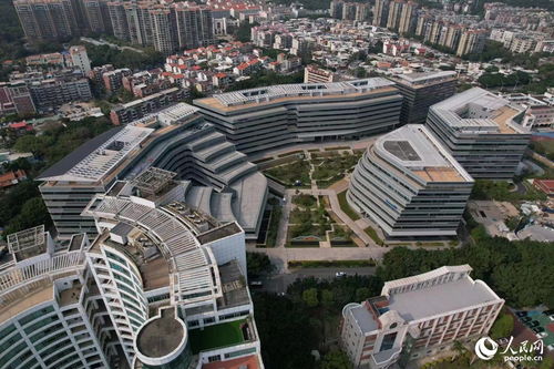 搭建平臺 編制目錄 廈門持續(xù)優(yōu)化政策促進軟件產(chǎn)業(yè)高質(zhì)量發(fā)展