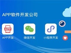 廈門系統(tǒng)軟件開發(fā)