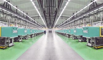 廈門為高技術 高成長 高附加值企業成長播撒甘露